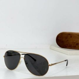 Picture of Tom Ford Sunglasses _SKUfw55591550fw